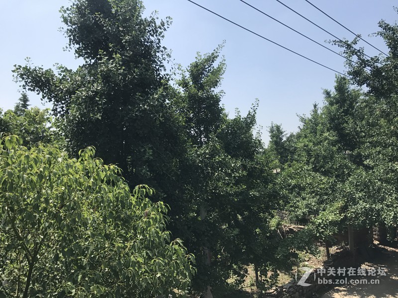 可承担小米1999元经典售价的重任！小米8 SE小屏旗舰评测