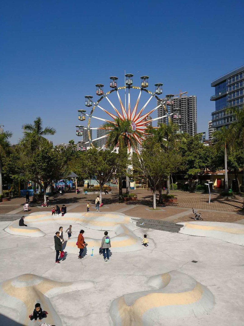 刚刚拿到mate 10 pro，在深圳拍摄照片