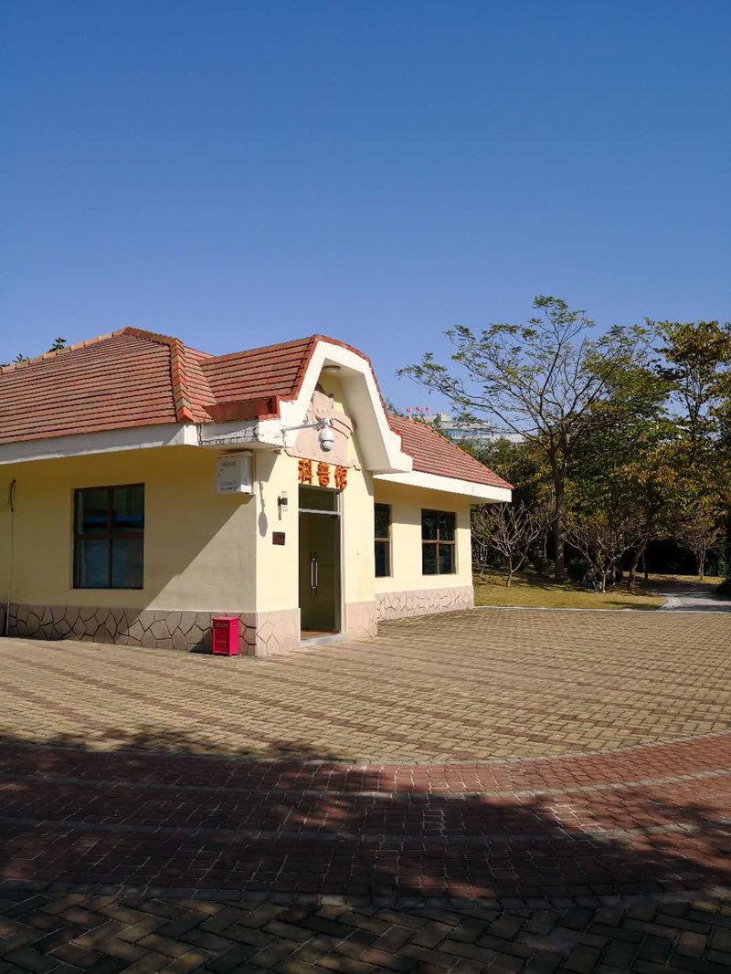 刚刚拿到mate 10 pro，在深圳拍摄照片