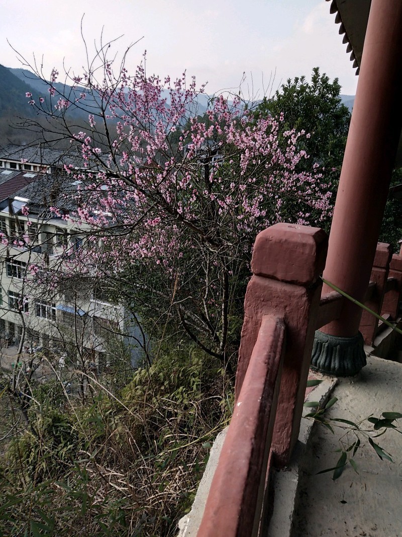 温州市双情岭，雷公殿