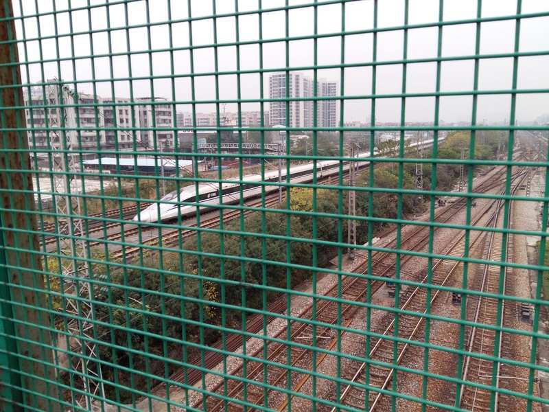 星空体育平台S6拍的一些照片