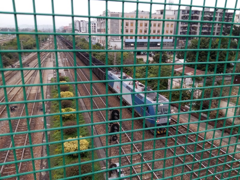 星空体育平台S6拍的一些照片