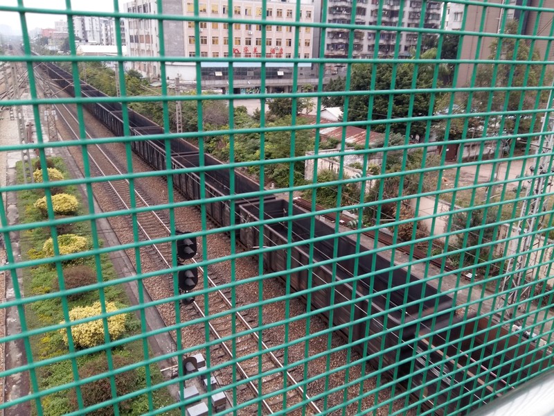 星空体育平台S6拍的一些照片