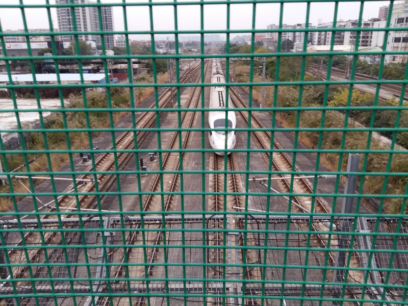 星空体育平台S6拍的一些照片