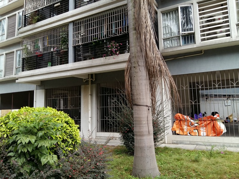 星空体育平台S6拍的一些照片