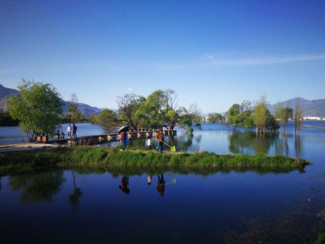 满屏都是测机，上几张图放松一下