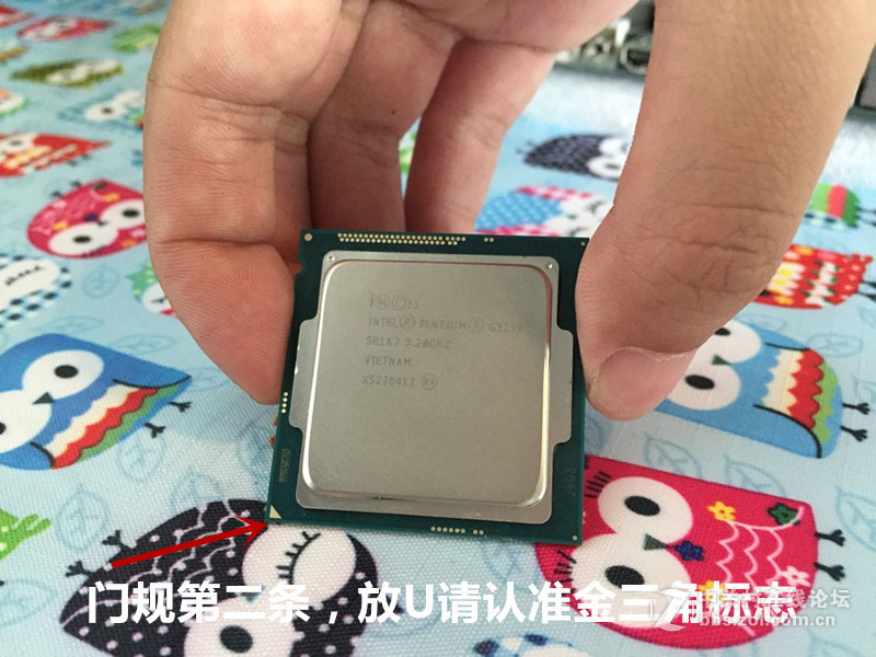 女汉子暴力装机处女秀-------图糟人傻