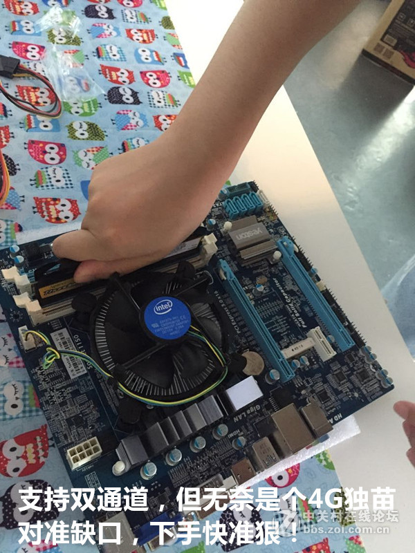 女汉子暴力装机处女秀-------图糟人傻