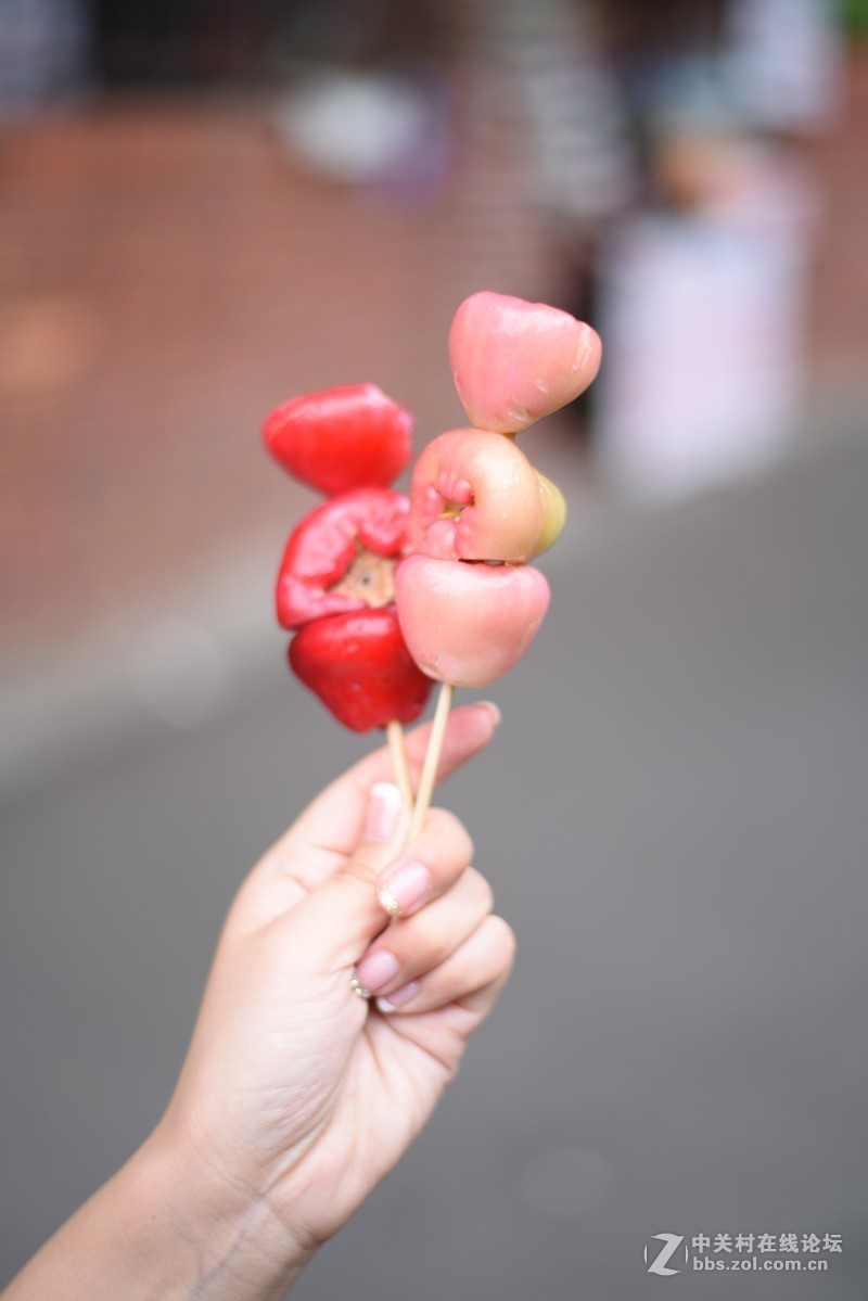 惬意游玩——鼓浪屿（直出无任何后期）