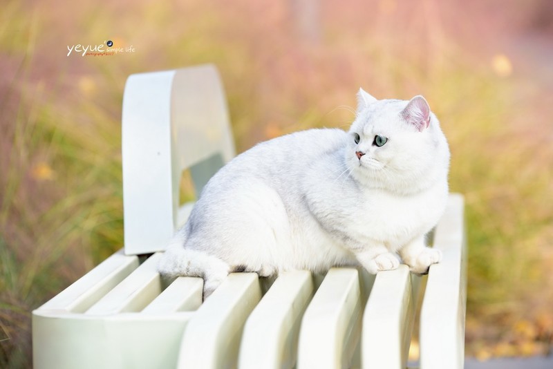 冬日晒太阳--成都天府公园