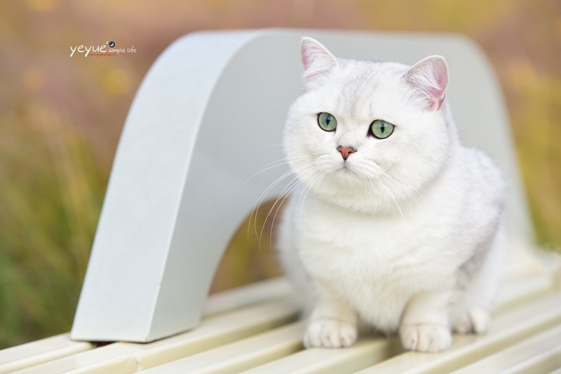 冬日晒太阳--成都天府公园