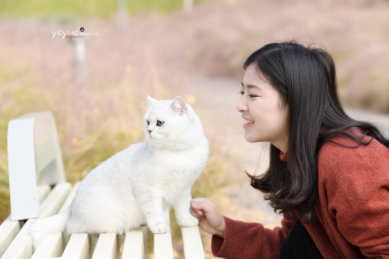 冬日晒太阳--成都天府公园