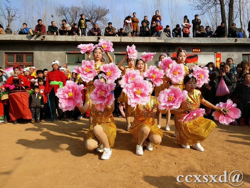 用手机留住那美丽瞬间