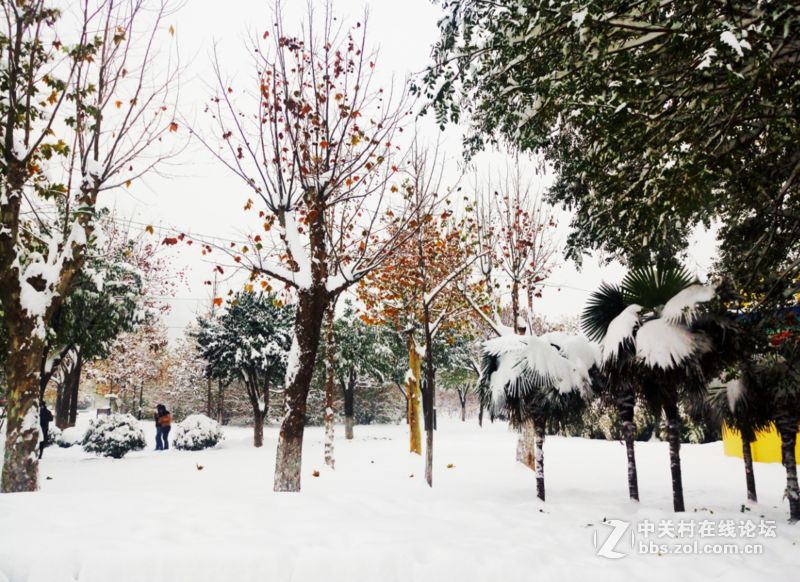 雷柏v500合金版评测 (99元还要啥自行车)