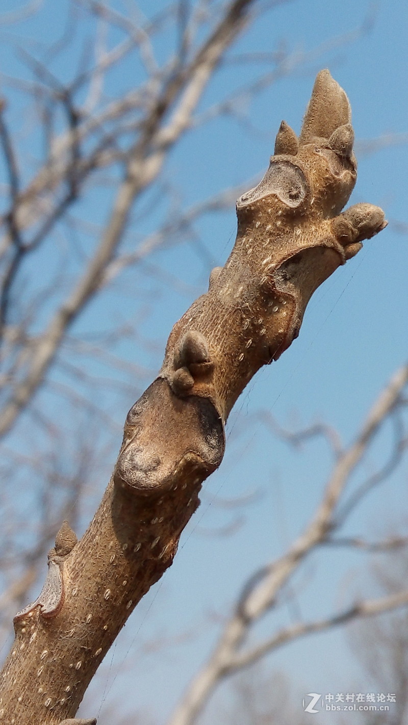 冬末春初去骑车
