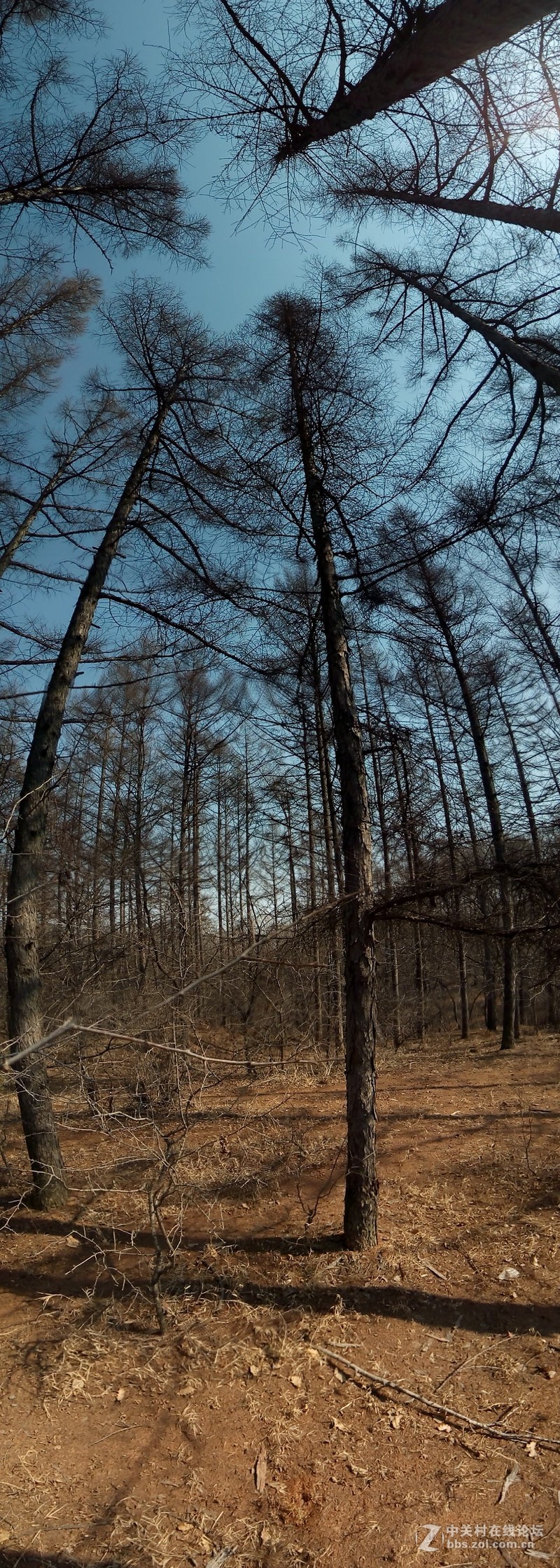 冬末春初去骑车