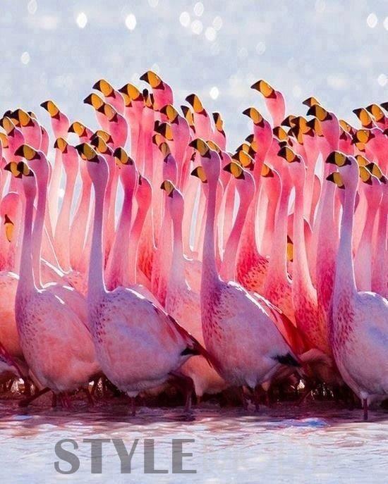 2017最值得去的高性价比免签国家 准备去哪个