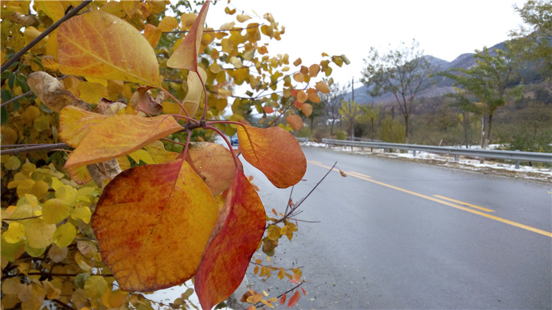 披荆斩棘：不足千元带刺大神Note3实用体验