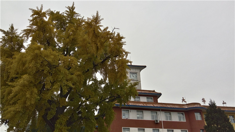 披荆斩棘：不足千元带刺大神Note3实用体验