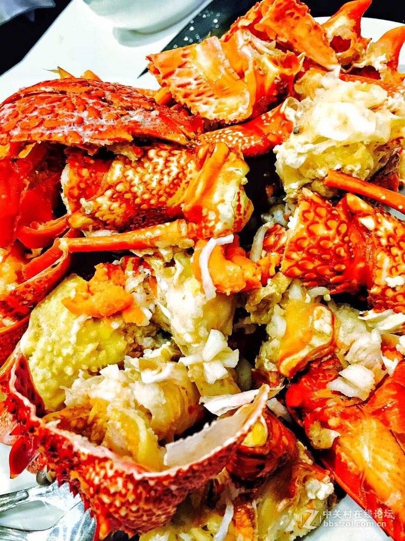 蓝天、阳光、美女、沙滩vivo x6 记录澳洲行