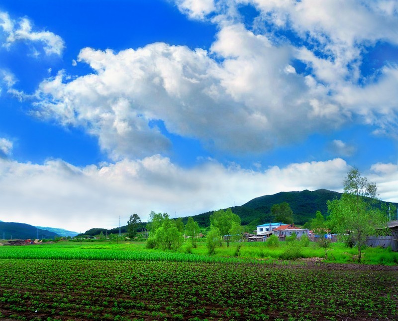 蓝天下的风光【伊春市南岔区风光】