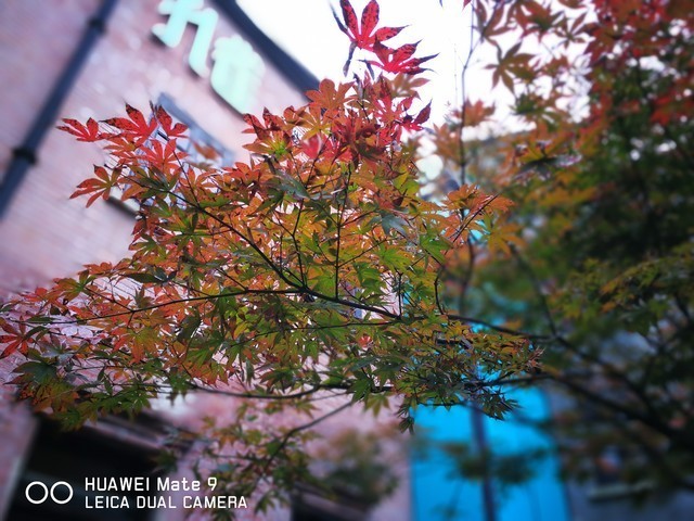 万元超苹果 华为Mate 9保时捷设计评测