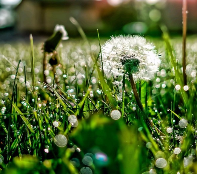 【桌面壁纸2160x1920分辨率高清大图】第15集