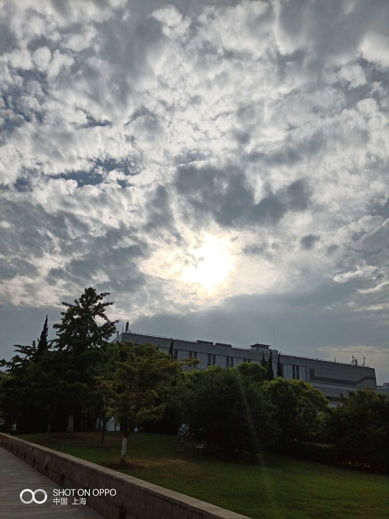 oppoR15 逆光拍摄有蓝点