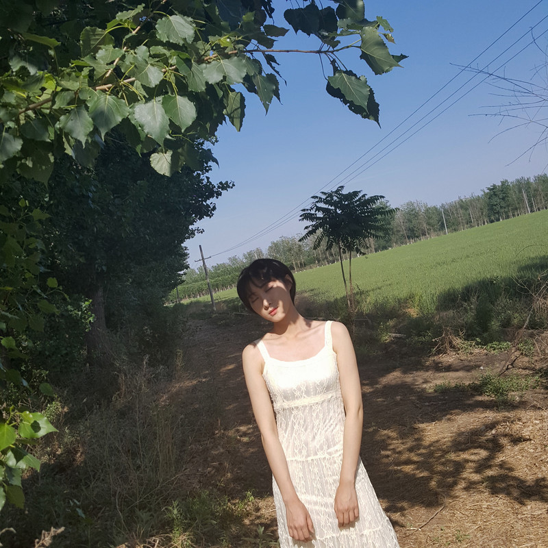 S7 edge 拍摄美女 麦田