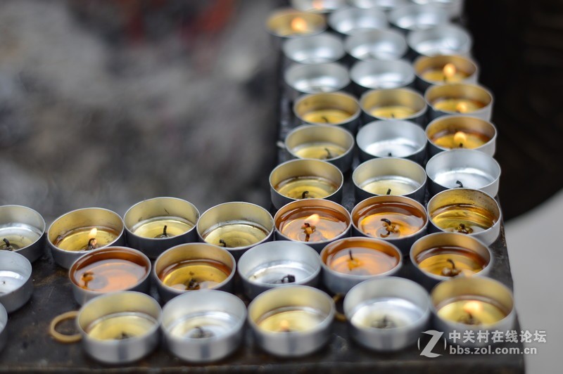 处女贴： 永诺50mm F1.8 我的试用