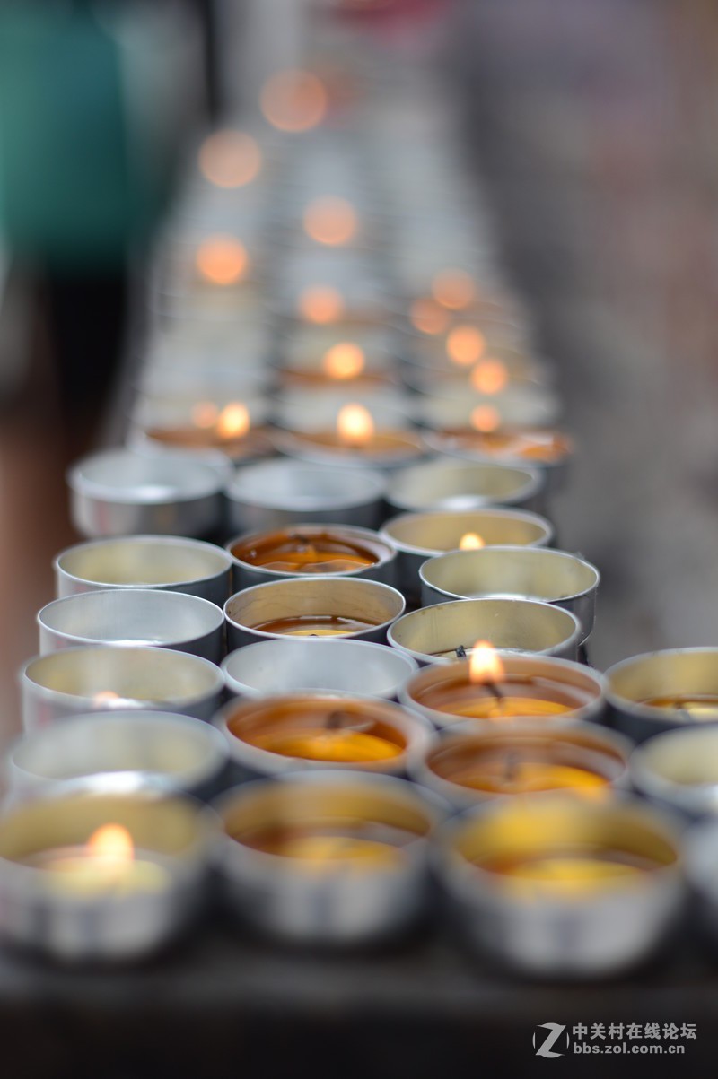 处女贴： 永诺50mm F1.8 我的试用