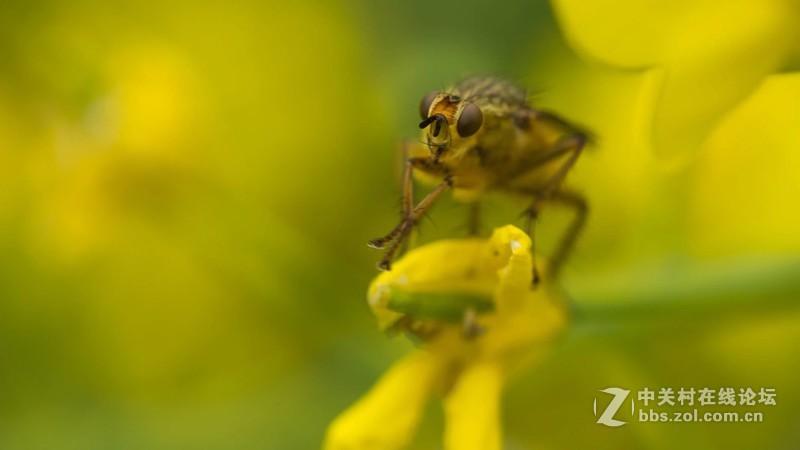 杂片一组，敬请欣赏
