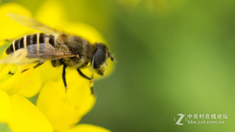 杂片一组，敬请欣赏