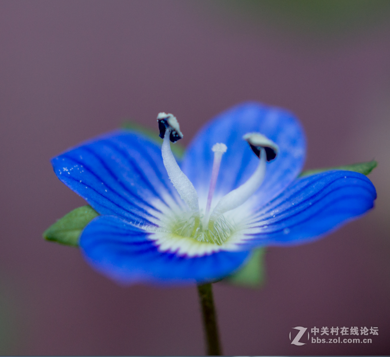 杂片一组，敬请欣赏