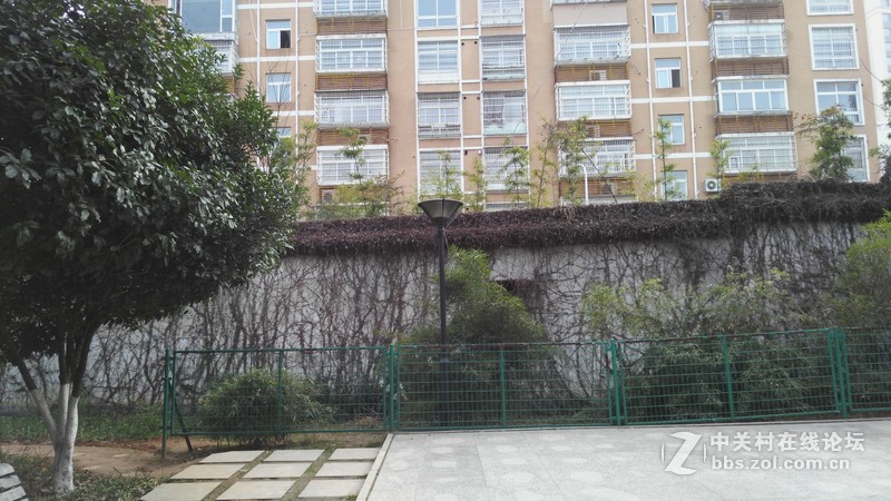 有比较才有差距（二十四）联想K920 星空体育平台NOTE3大量拍照对比