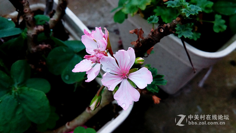 看书、追剧利器， ZenPad 3s 10 深入体验！