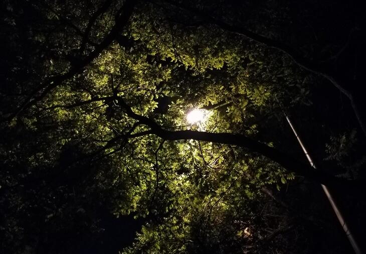 为追求品质用户打造 华为G9 青春版评测