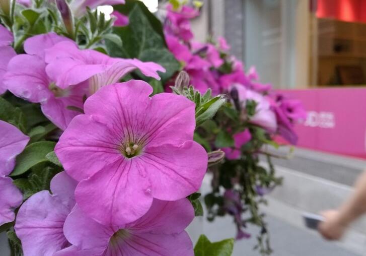 为追求品质用户打造 华为G9 青春版评测