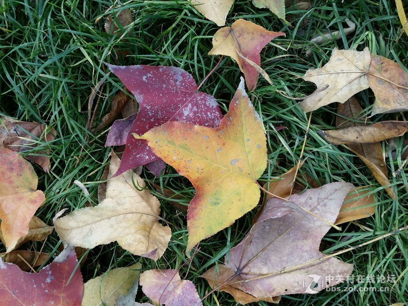 有比较才有差距（二十四）联想K920 星空体育平台NOTE3大量拍照对比