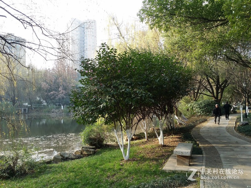 有比较才有差距（二十四）联想K920 星空体育平台NOTE3大量拍照对比