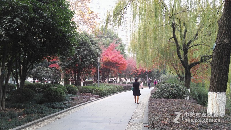 有比较才有差距（二十四）联想K920 星空体育平台NOTE3大量拍照对比