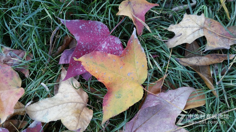 有比较才有差距（二十四）联想K920 星空体育平台NOTE3大量拍照对比