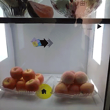 #BOE Alta工厂行# 深入BOE，探秘显示黑科技