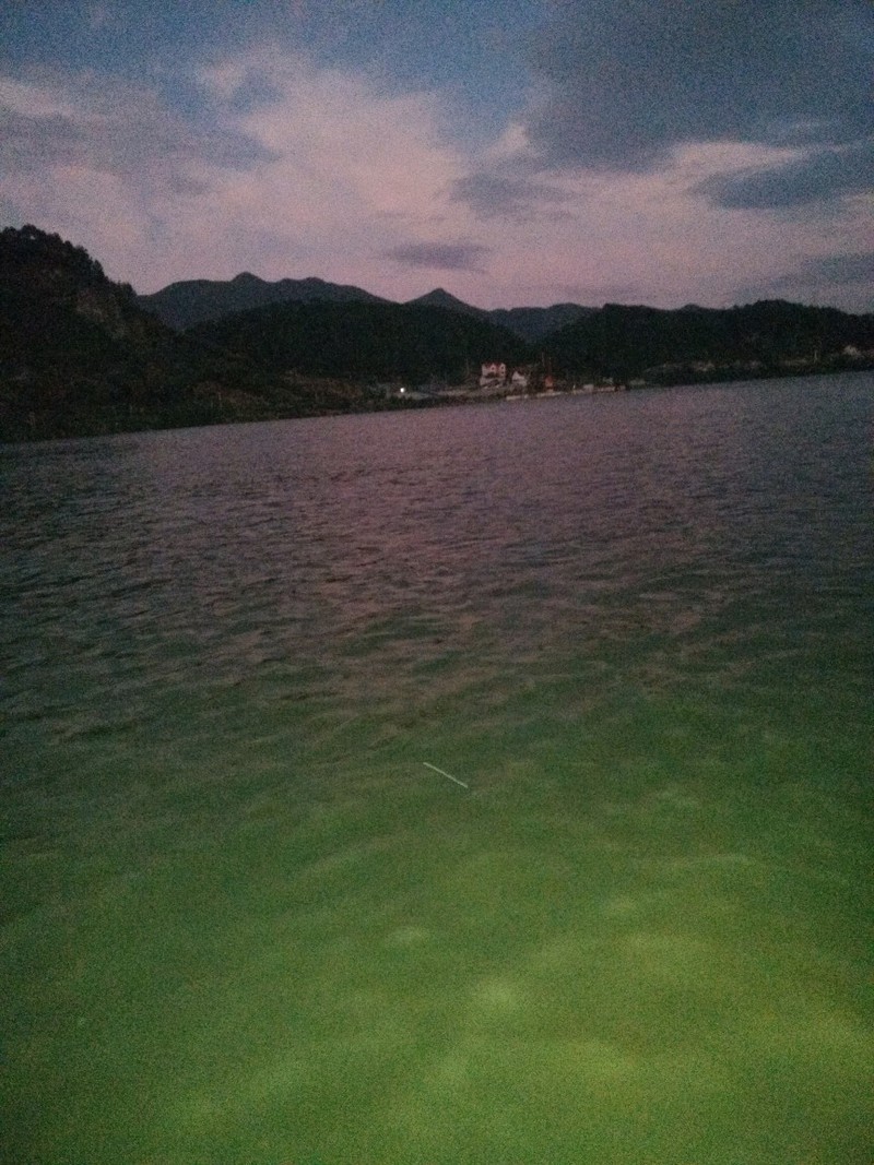 想家