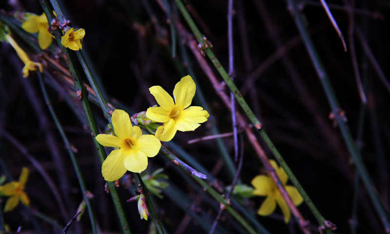 #版主坐堂# 《拉萨星空(中国)优秀作品》2015年9月