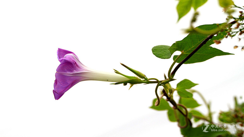 #版主坐堂# 《拉萨星空(中国)优秀作品》2015年9月