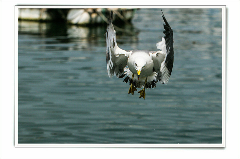#版主坐堂# 《拉萨星空(中国)优秀作品》2015年9月