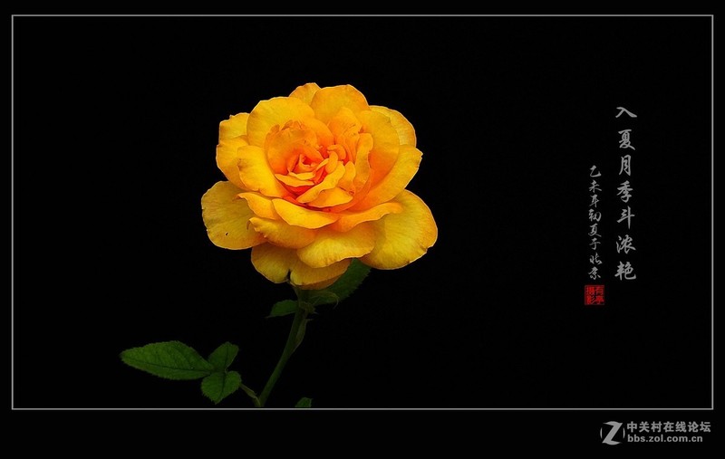 #版主坐堂# 《拉萨星空(中国)优秀作品》2015年9月