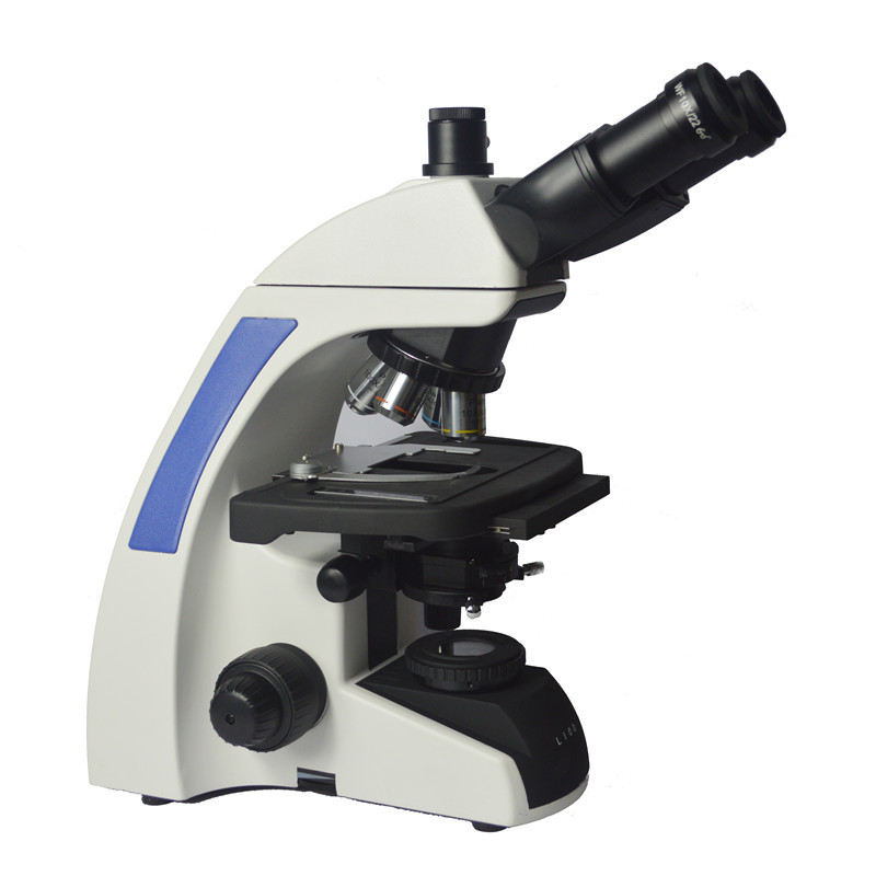 和德国LIOO S600T 大PK一下  德日之战 看谁胜出