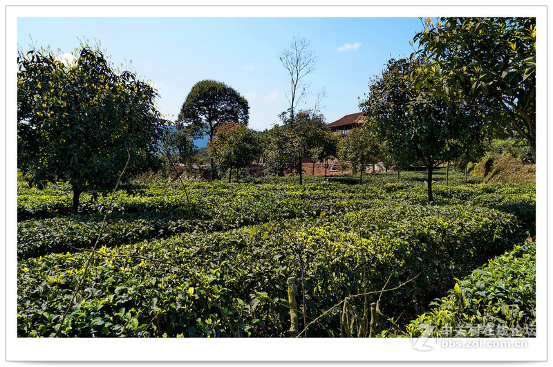 贵州·赤水·望云峰